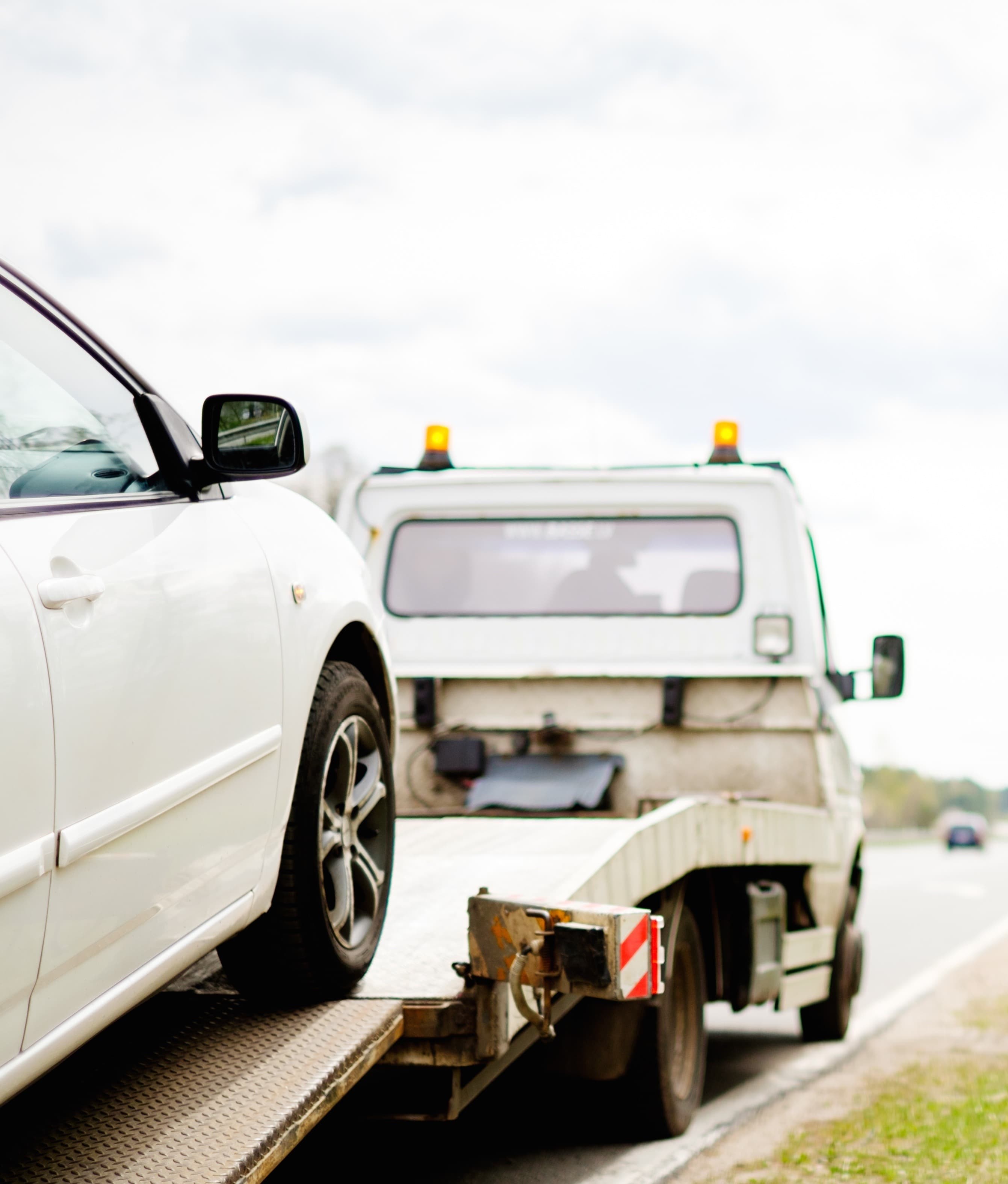 Professional car inspection